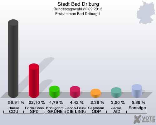 Stadt Bad Driburg, Bundestagswahl 22.09.2013, Erststimmen Bad Driburg 1: Haase CDU: 56,91 %. Rode-Bosse SPD: 22,10 %. Brinkschmidt GRÜNE: 4,79 %. Jacob-Reisinger DIE LINKE: 4,42 %. Seemann ÖDP: 2,39 %. Jäckel AfD: 3,50 %. Sonstige: 5,89 %. 
